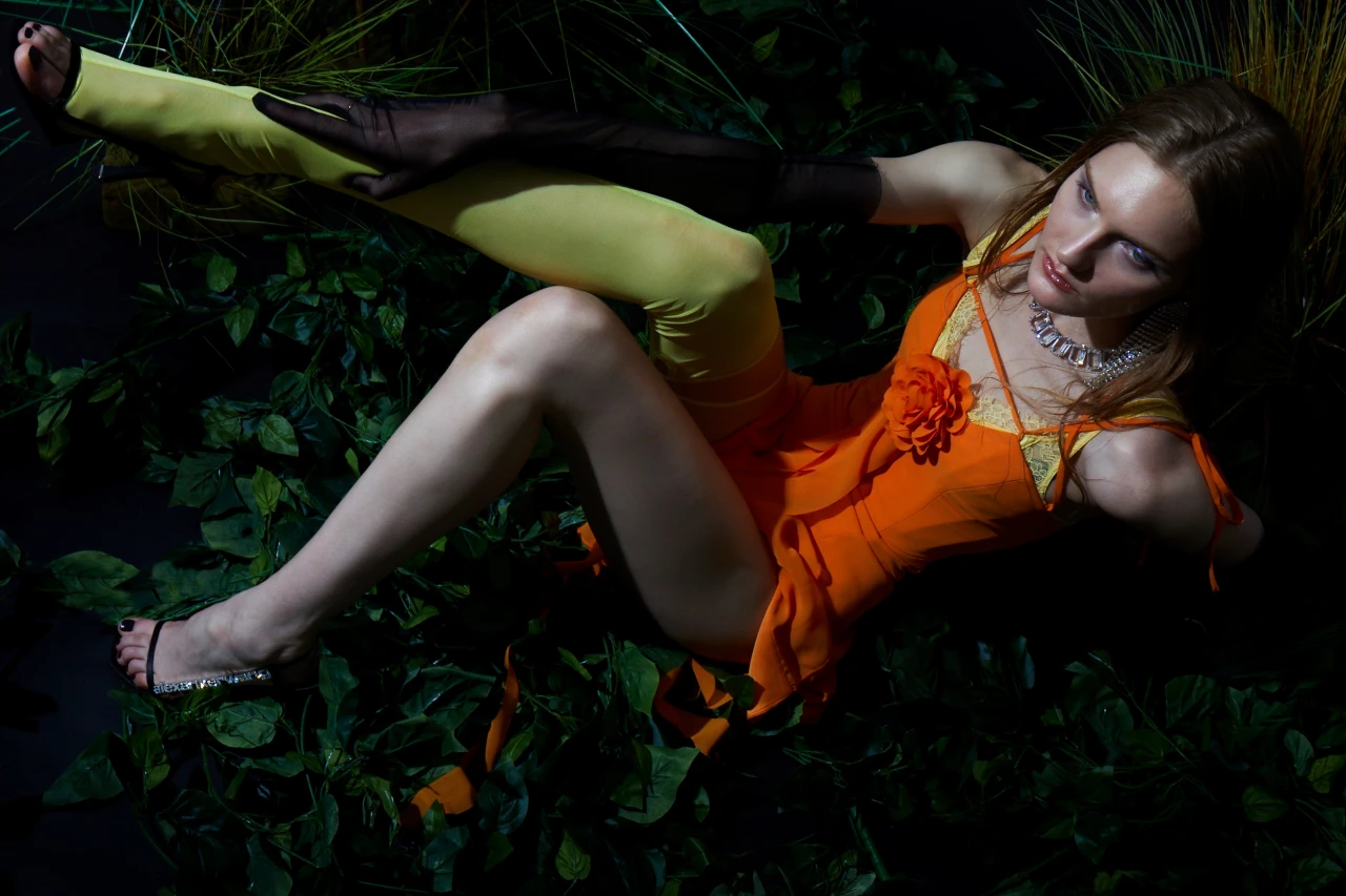Elif Seyis
